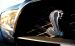 Ford Shelby GT500 2012 Widescreen Picture #10