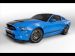 Ford Shelby GT500 2013 Picture #13