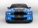 Ford Shelby GT500 2013 Picture #10