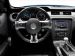 Ford Shelby GT500 2013 Picture #14
