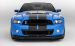 Ford Shelby GT500 2013 Widescreen Picture #53