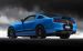 Ford Shelby GT500 2013 Widescreen Picture #30