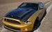 GiegerCars Mustang Shelby GT650 Widescreen Picture #18