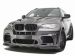 Hamann BMW X6 TYCOON EVO M 2011 Picture #26