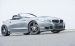 Hamann BMW Z4 E89 Widescreen Picture #15
