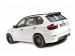Hamann Flash Evo M 2010 Picture #29
