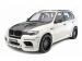 Hamann Flash Evo M 2010 Picture #13