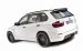 Hamann Flash Evo M 2010 Widescreen Picture #6