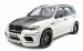 Hamann Flash Evo M 2010 Widescreen Picture #21