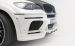 Hamann Flash Evo M 2010 Widescreen Picture #23