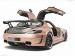Hamann Hawk Picture #3