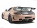 Hamann Hawk Picture #17