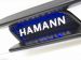 Hamann Hawk Picture #61