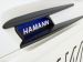 Hamann Hawk Picture #31