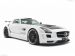 Hamann Hawk Picture #29