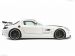 Hamann Hawk Picture #66