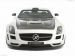 Hamann Hawk Picture #25