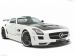 Hamann Hawk Picture #26