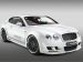 Hamann Imperator Picture #0