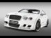 Hamann Imperator Picture #13