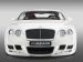 Hamann Imperator Picture #4