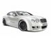 Hamann Imperator Picture #1