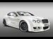 Hamann Imperator Picture #23