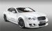 Hamann Imperator Widescreen Picture #3