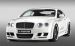 Hamann Imperator Widescreen Picture #9