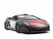 Hamann Victory II Gallardo LP560 4 2010 Picture #6