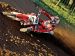 Honda CRF 450R Picture #5