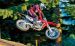 Honda CRF 450R Widescreen Picture #7