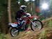Honda CRF250L 2012 Picture #12
