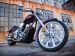 Honda Fury 2010 Picture #29