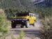 Hummer New fuels New Models Picture #8