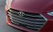 Hyundai Elantra Sedan 2017 Widescreen Picture #71