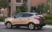 Hyundai Tucson 2010 Widescreen Picture #13