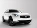 Infiniti FX Limited Edition 2010 Picture #19