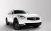 Infiniti FX Limited Edition 2010 Widescreen Picture #21