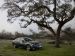 Infiniti M 2012 Picture #33