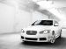 Jaguar 2010 XFR Picture #20