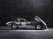 Jaguar Lightweight E Type 2014 Picture #1