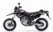 Kawasaki 2009 KLX250SF Widescreen Picture #15