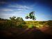 Kawasaki KX 450F 2011 Picture #15