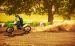 Kawasaki KX 450F 2011 Widescreen Picture #7