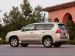 Lexus 2010 GX 460 Picture #26