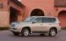 Lexus 2010 GX 460 Widescreen Picture #18