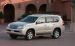 Lexus 2010 GX 460 Widescreen Picture #22