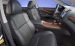 Lexus 2010 LS 460 Widescreen Picture #7