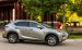 Lexus NX 200t 2015 Widescreen Picture #21
